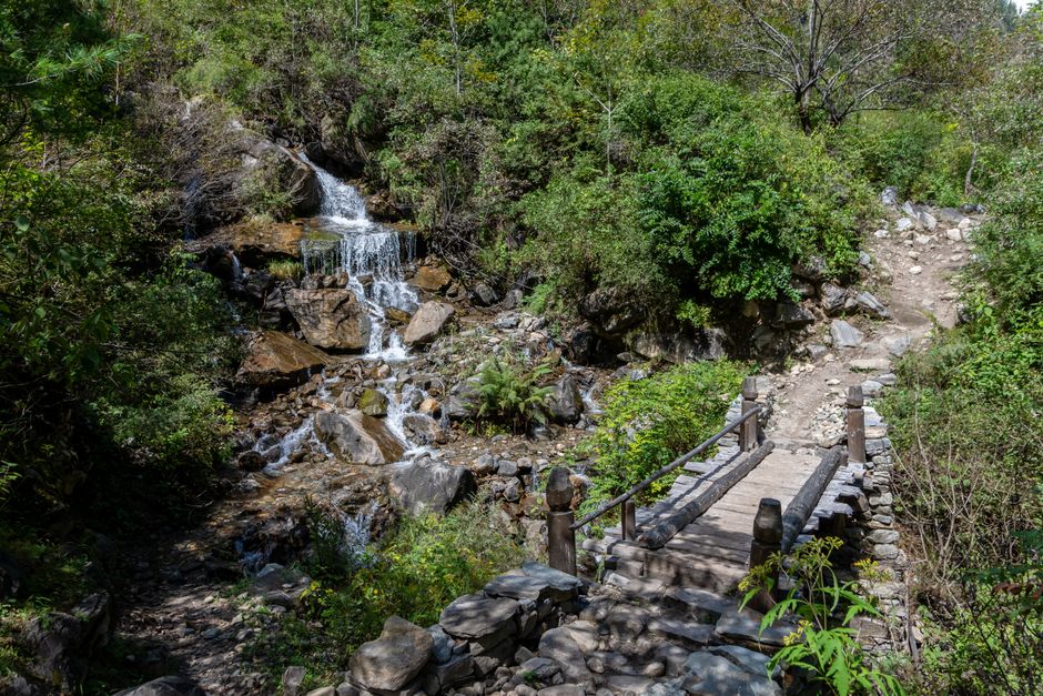 Kurşunlu Şelalesi Milli Parkı içindeki ahşap yürüyüş yolu
